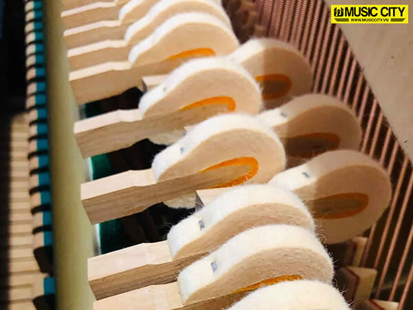 Music City – Tổng Kho Piano, Guitar, Organ | Dịch Vụ Giáo Dục Âm Nhạc