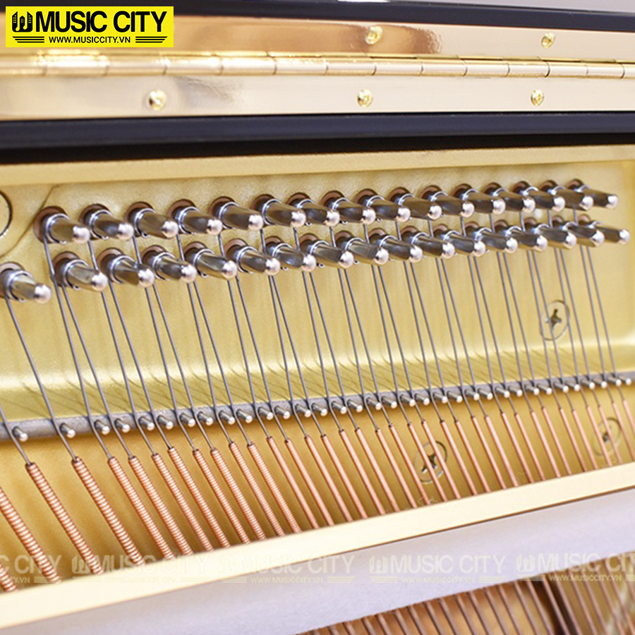 Music City – Tổng Kho Piano, Guitar, Organ | Dịch Vụ Giáo Dục Âm Nhạc