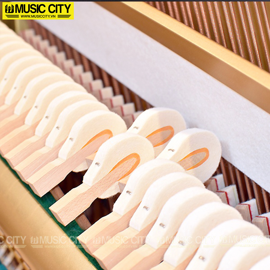 Music City – Tổng Kho Piano, Guitar, Organ | Dịch Vụ Giáo Dục Âm Nhạc