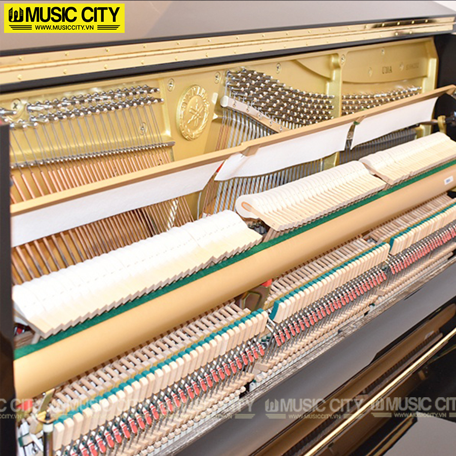 Music City – Tổng Kho Piano, Guitar, Organ | Dịch Vụ Giáo Dục Âm Nhạc