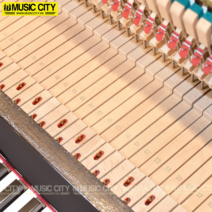 Music City – Tổng Kho Piano, Guitar, Organ | Dịch Vụ Giáo Dục Âm Nhạc