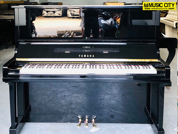 Music City – Tổng Kho Piano, Guitar, Organ | Dịch Vụ Giáo Dục Âm Nhạc