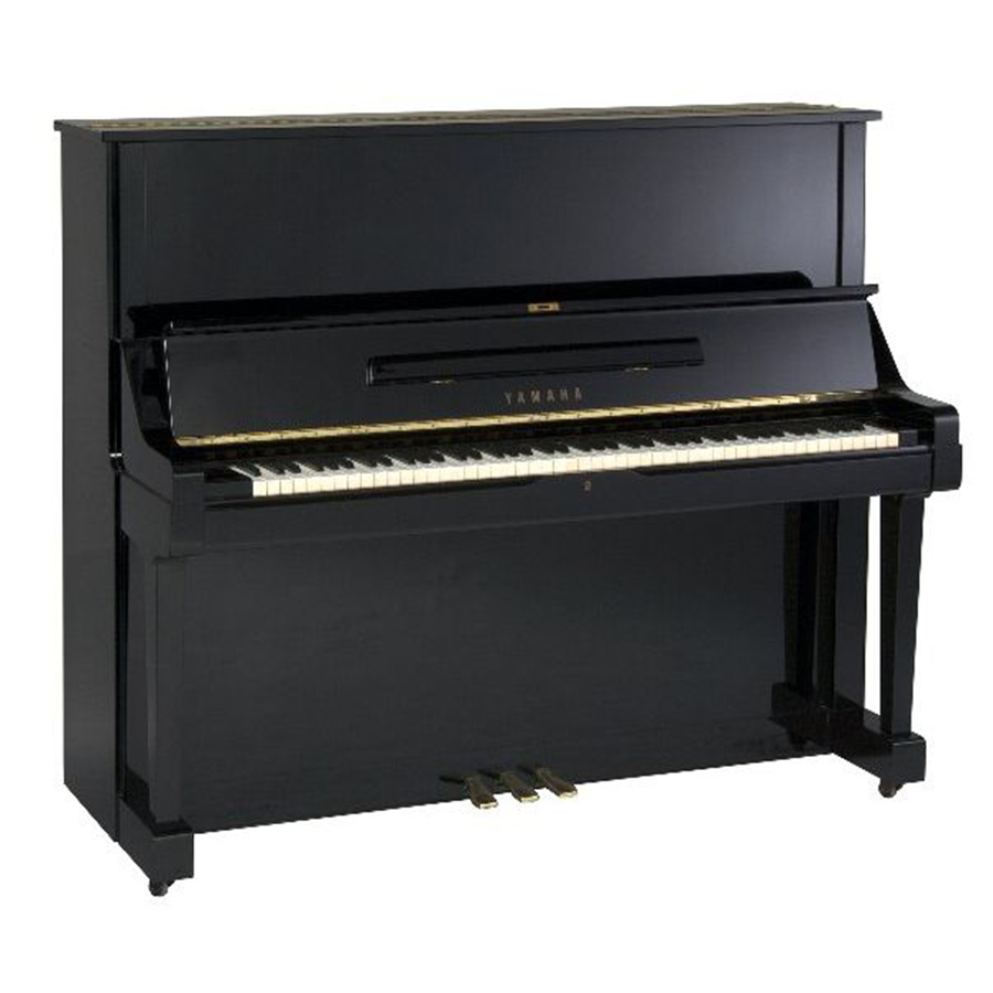 Music City – Tổng Kho Piano, Guitar, Organ | Dịch Vụ Giáo Dục Âm Nhạc