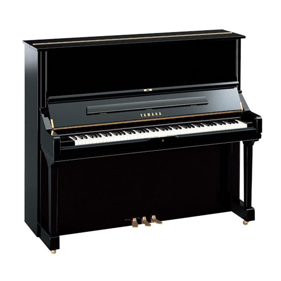 Music City – Tổng Kho Piano, Guitar, Organ | Dịch Vụ Giáo Dục Âm Nhạc