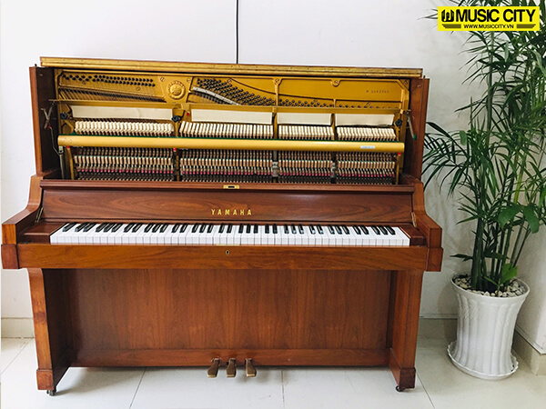 Music City – Tổng Kho Piano, Guitar, Organ | Dịch Vụ Giáo Dục Âm Nhạc