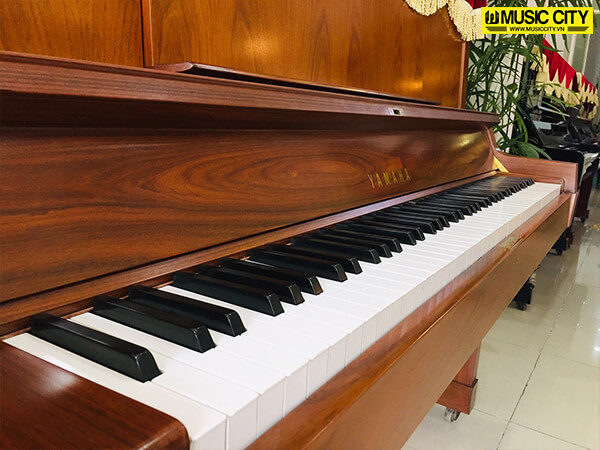 Music City – Tổng Kho Piano, Guitar, Organ | Dịch Vụ Giáo Dục Âm Nhạc