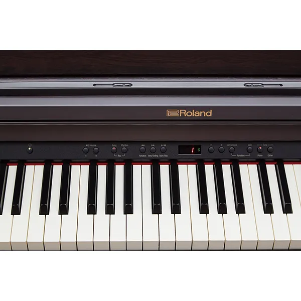 dan-piano-roland-rp501r-musiccity