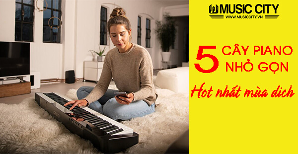 Music City – Tổng Kho Piano, Guitar, Organ | Dịch Vụ Giáo Dục Âm Nhạc
