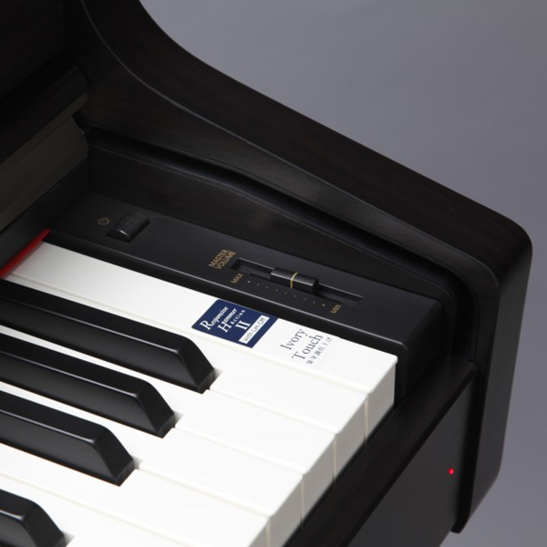 Music City – Tổng Kho Piano, Guitar, Organ | Dịch Vụ Giáo Dục Âm Nhạc
