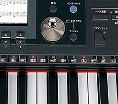 Music City – Tổng Kho Piano, Guitar, Organ | Dịch Vụ Giáo Dục Âm Nhạc