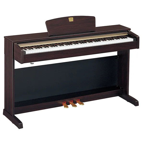 Music City – Tổng Kho Piano, Guitar, Organ | Dịch Vụ Giáo Dục Âm Nhạc