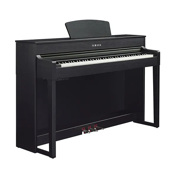 Music City – Tổng Kho Piano, Guitar, Organ | Dịch Vụ Giáo Dục Âm Nhạc