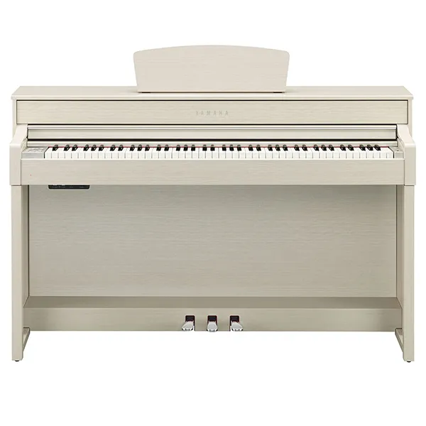 Music City – Tổng Kho Piano, Guitar, Organ | Dịch Vụ Giáo Dục Âm Nhạc