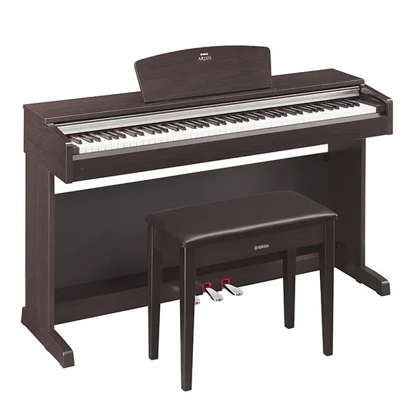 Music City – Tổng Kho Piano, Guitar, Organ | Dịch Vụ Giáo Dục Âm Nhạc