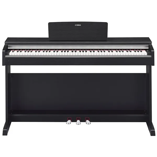Music City – Tổng Kho Piano, Guitar, Organ | Dịch Vụ Giáo Dục Âm Nhạc