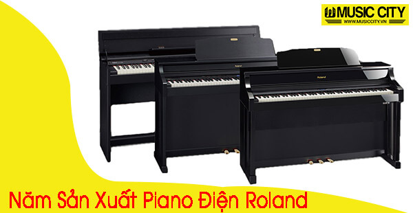 Music City – Tổng Kho Piano, Guitar, Organ | Dịch Vụ Giáo Dục Âm Nhạc