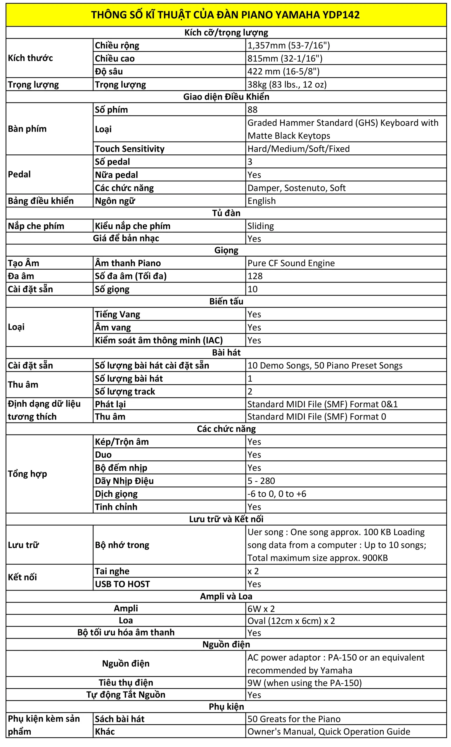 Music City – Tổng Kho Piano, Guitar, Organ | Dịch Vụ Giáo Dục Âm Nhạc