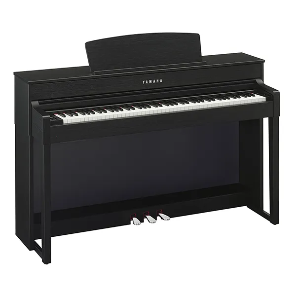 Music City – Tổng Kho Piano, Guitar, Organ | Dịch Vụ Giáo Dục Âm Nhạc