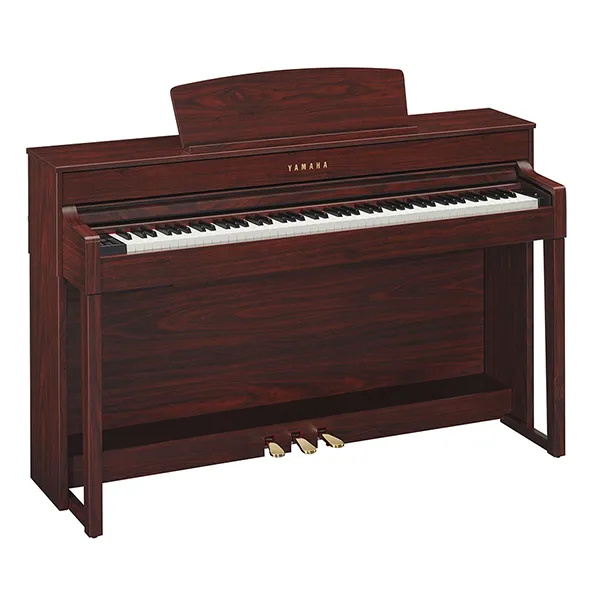 Music City – Tổng Kho Piano, Guitar, Organ | Dịch Vụ Giáo Dục Âm Nhạc