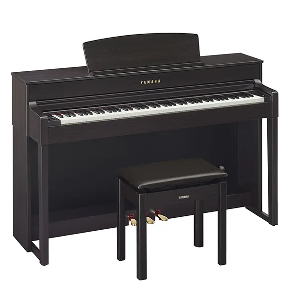 Music City – Tổng Kho Piano, Guitar, Organ | Dịch Vụ Giáo Dục Âm Nhạc
