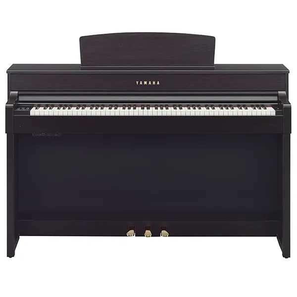 Music City – Tổng Kho Piano, Guitar, Organ | Dịch Vụ Giáo Dục Âm Nhạc