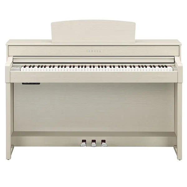 Music City – Tổng Kho Piano, Guitar, Organ | Dịch Vụ Giáo Dục Âm Nhạc