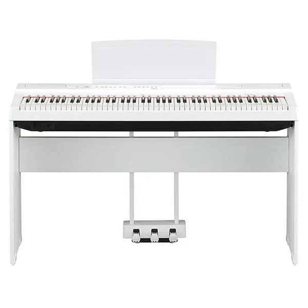 Music City – Tổng Kho Piano, Guitar, Organ | Dịch Vụ Giáo Dục Âm Nhạc