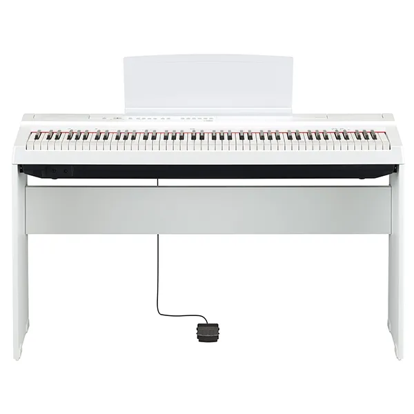 Music City – Tổng Kho Piano, Guitar, Organ | Dịch Vụ Giáo Dục Âm Nhạc