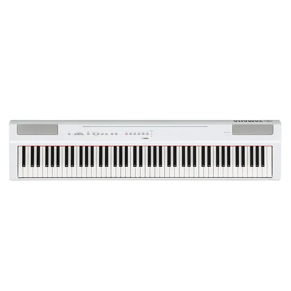 Music City – Tổng Kho Piano, Guitar, Organ | Dịch Vụ Giáo Dục Âm Nhạc