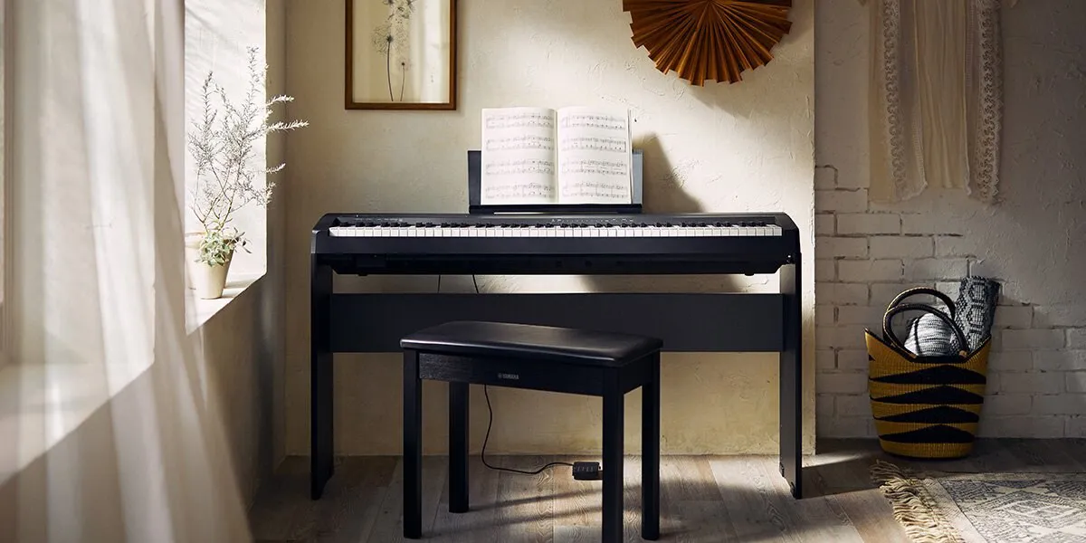Music City – Tổng Kho Piano, Guitar, Organ | Dịch Vụ Giáo Dục Âm Nhạc