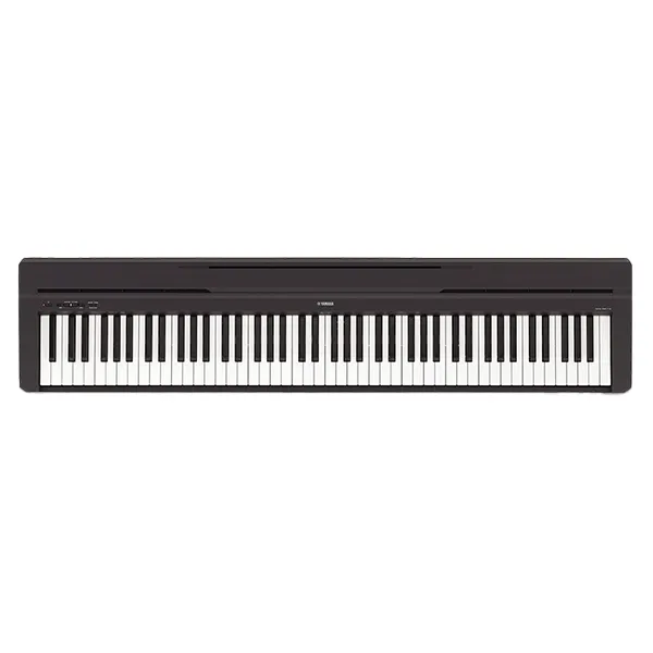 Music City – Tổng Kho Piano, Guitar, Organ | Dịch Vụ Giáo Dục Âm Nhạc