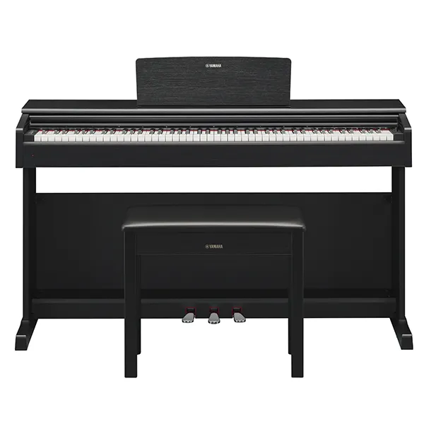 Music City – Tổng Kho Piano, Guitar, Organ | Dịch Vụ Giáo Dục Âm Nhạc
