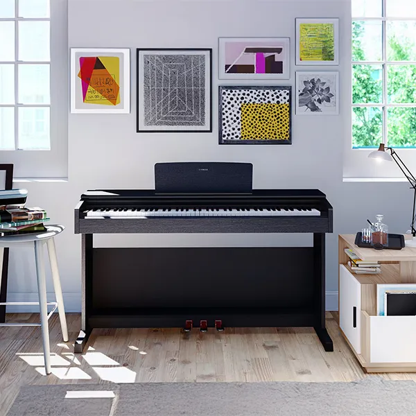 Music City – Tổng Kho Piano, Guitar, Organ | Dịch Vụ Giáo Dục Âm Nhạc