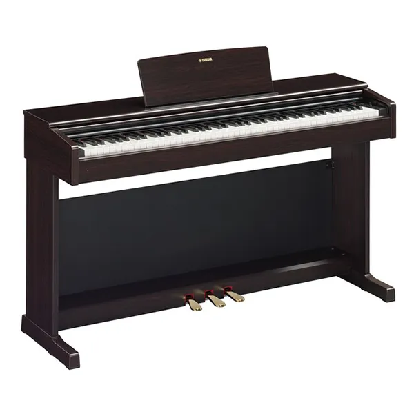 Music City – Tổng Kho Piano, Guitar, Organ | Dịch Vụ Giáo Dục Âm Nhạc