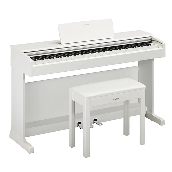 Music City – Tổng Kho Piano, Guitar, Organ | Dịch Vụ Giáo Dục Âm Nhạc