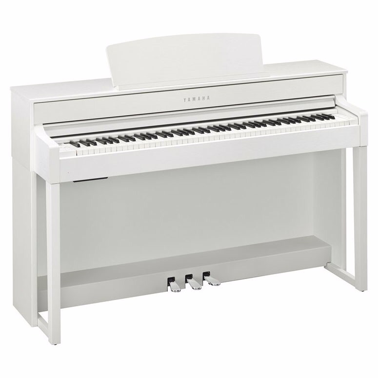 Music City – Tổng Kho Piano, Guitar, Organ | Dịch Vụ Giáo Dục Âm Nhạc
