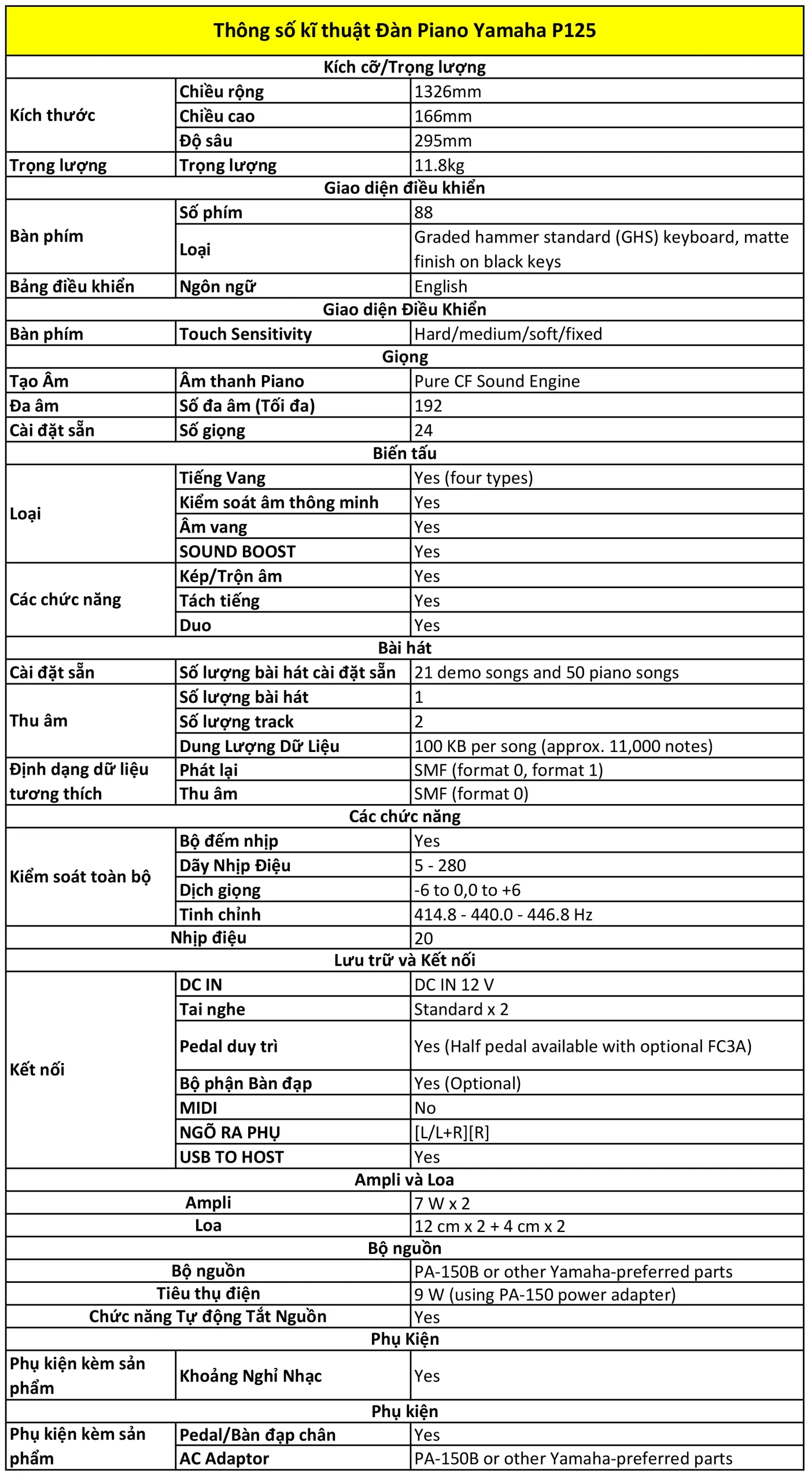 Music City – Tổng Kho Piano, Guitar, Organ | Dịch Vụ Giáo Dục Âm Nhạc