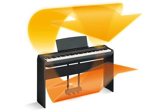 Music City – Tổng Kho Piano, Guitar, Organ | Dịch Vụ Giáo Dục Âm Nhạc