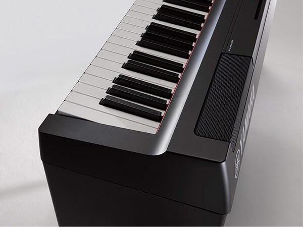 Music City – Tổng Kho Piano, Guitar, Organ | Dịch Vụ Giáo Dục Âm Nhạc