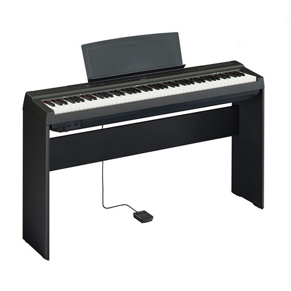 Music City – Tổng Kho Piano, Guitar, Organ | Dịch Vụ Giáo Dục Âm Nhạc