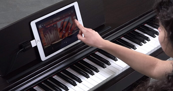 Music City – Tổng Kho Piano, Guitar, Organ | Dịch Vụ Giáo Dục Âm Nhạc