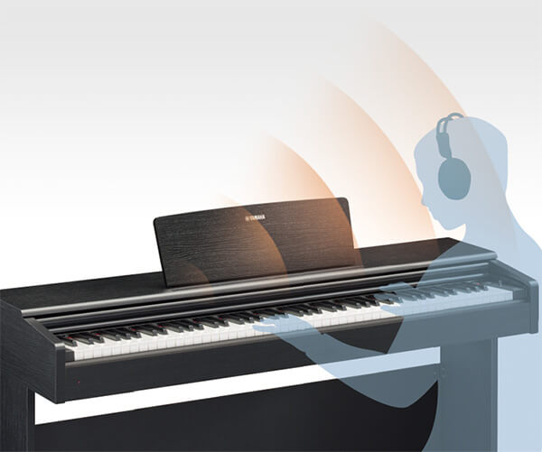 Music City – Tổng Kho Piano, Guitar, Organ | Dịch Vụ Giáo Dục Âm Nhạc
