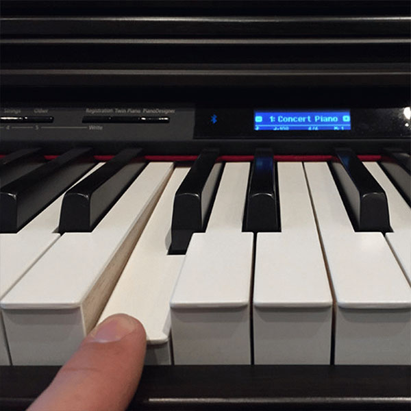 Music City – Tổng Kho Piano, Guitar, Organ | Dịch Vụ Giáo Dục Âm Nhạc