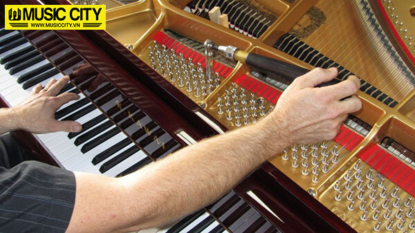 Music City – Tổng Kho Piano, Guitar, Organ | Dịch Vụ Giáo Dục Âm Nhạc