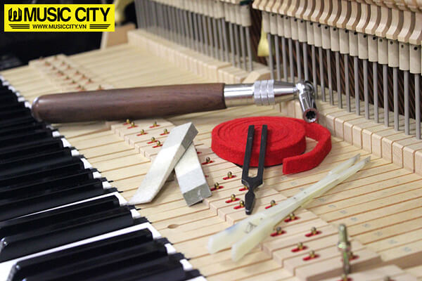Music City – Tổng Kho Piano, Guitar, Organ | Dịch Vụ Giáo Dục Âm Nhạc