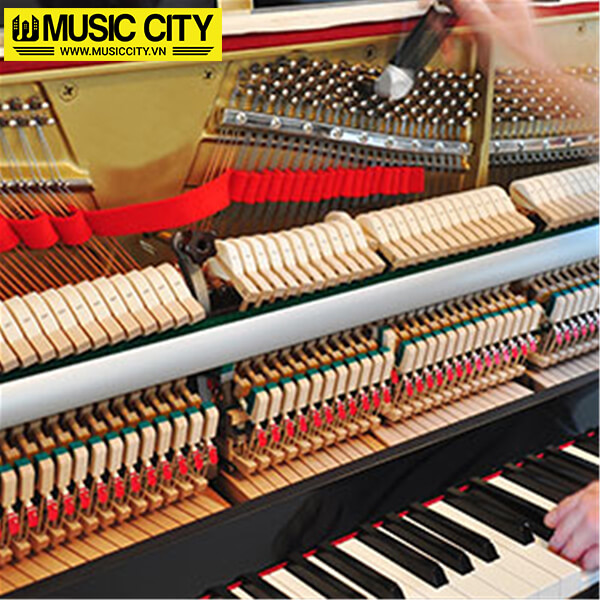Music City – Tổng Kho Piano, Guitar, Organ | Dịch Vụ Giáo Dục Âm Nhạc