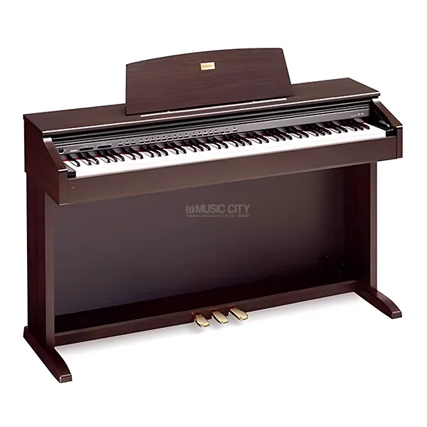 Music City – Tổng Kho Piano, Guitar, Organ | Dịch Vụ Giáo Dục Âm Nhạc