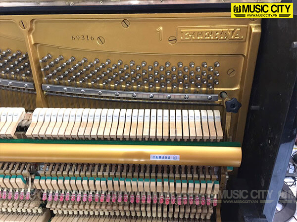 Music City – Tổng Kho Piano, Guitar, Organ | Dịch Vụ Giáo Dục Âm Nhạc
