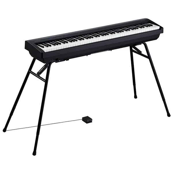 Music City – Tổng Kho Piano, Guitar, Organ | Dịch Vụ Giáo Dục Âm Nhạc