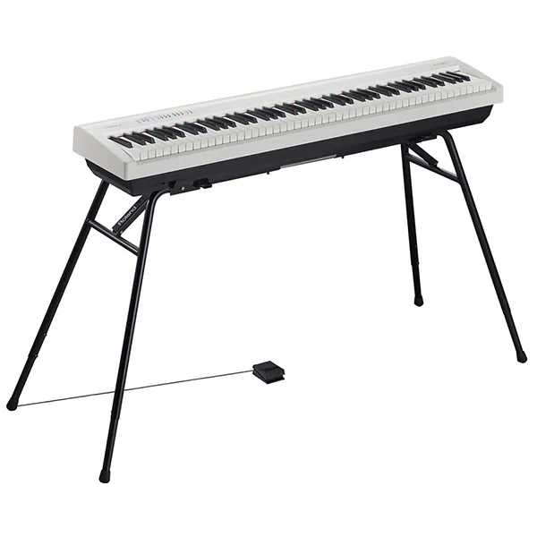 Music City – Tổng Kho Piano, Guitar, Organ | Dịch Vụ Giáo Dục Âm Nhạc